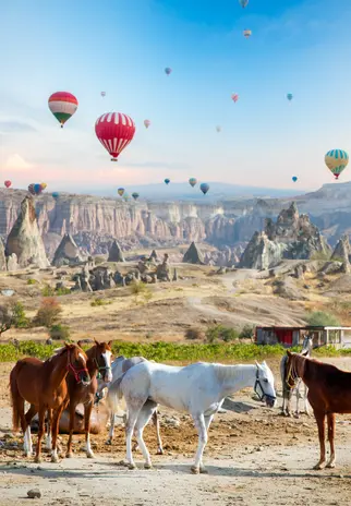 http://Fotoğraf%20Çekimleri
